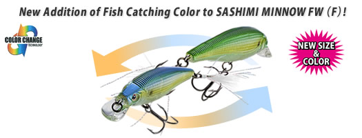 SASHIMI MINNOW FW (F) (WITH FEATHER)       